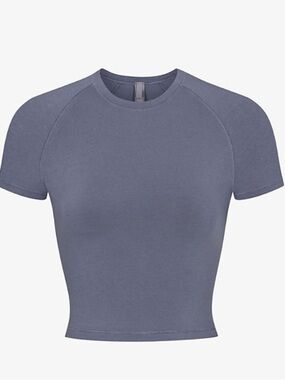 NWOT Skims New Vintage Cropped Raglan T-Shirt